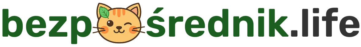 Bezpośrednik Life Logo